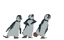 3d pinguine danse
